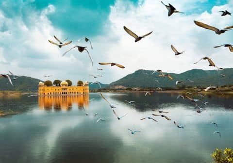 jaipur local sightseeing tour one day